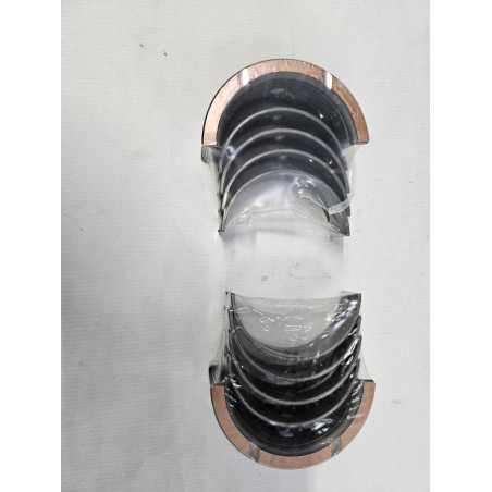 OHC Main Bearings Race Standard