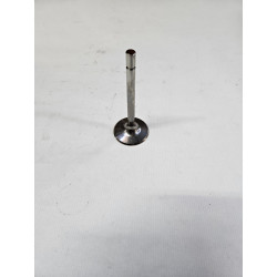 HPF Inlet Valve