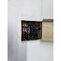 OHC Valve Spring Set