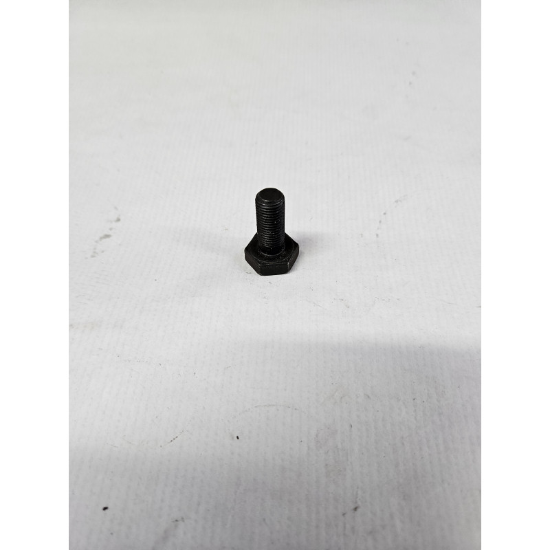 Flywheel Bolt