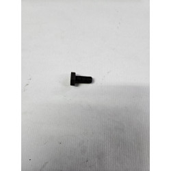 Flywheel Bolt
