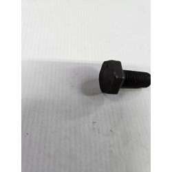 Flywheel Bolt