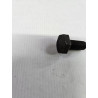 Flywheel Bolt