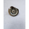 HC HPF Rear Lower Spring Retainer