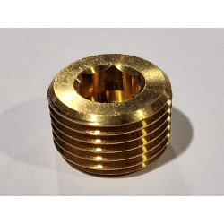 ALL HC HPF CHV HS HSR Blanking Plug 3/8" BSPT Hex Brass