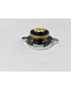 Filler Caps