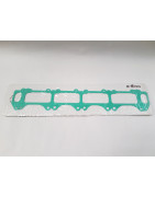 Gaskets & Seals